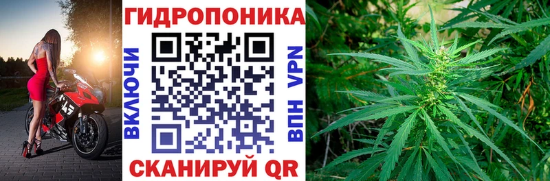 Конопля VHQ Котельнич